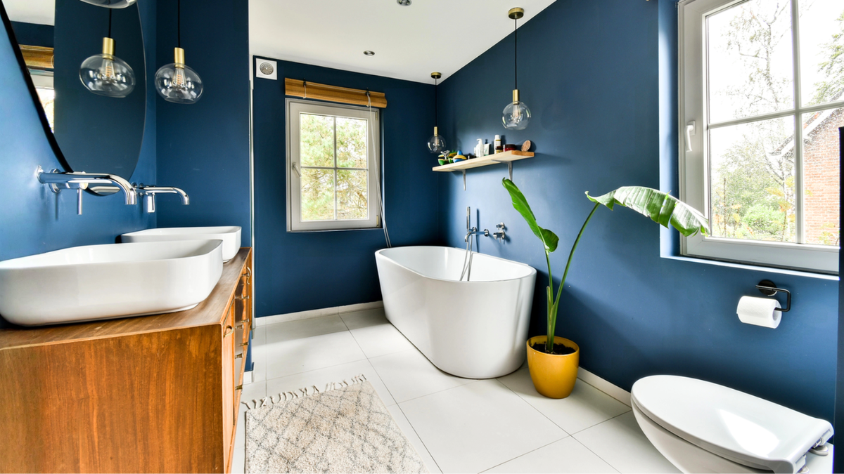 Budget rental bathroom upgrade with blue accent walls, freestanding tub, modern vanity, lighting, and plant.