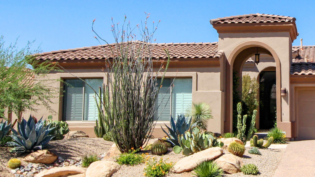 Arizona rental property with desert landscaping and window coverings comparing blind options for landlords effectively.