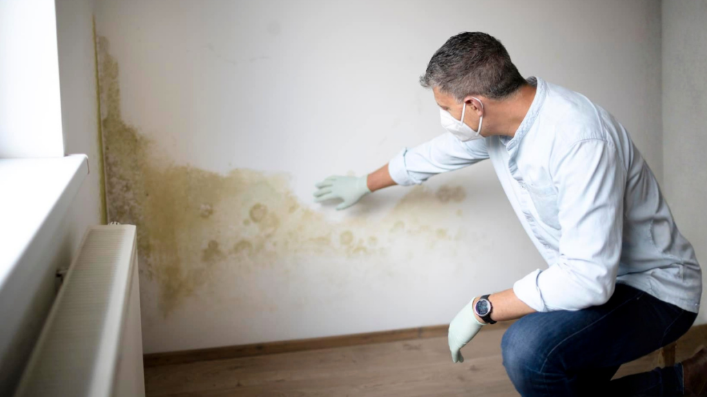 Man with gloves and mask inspecting visible mold on a wall.