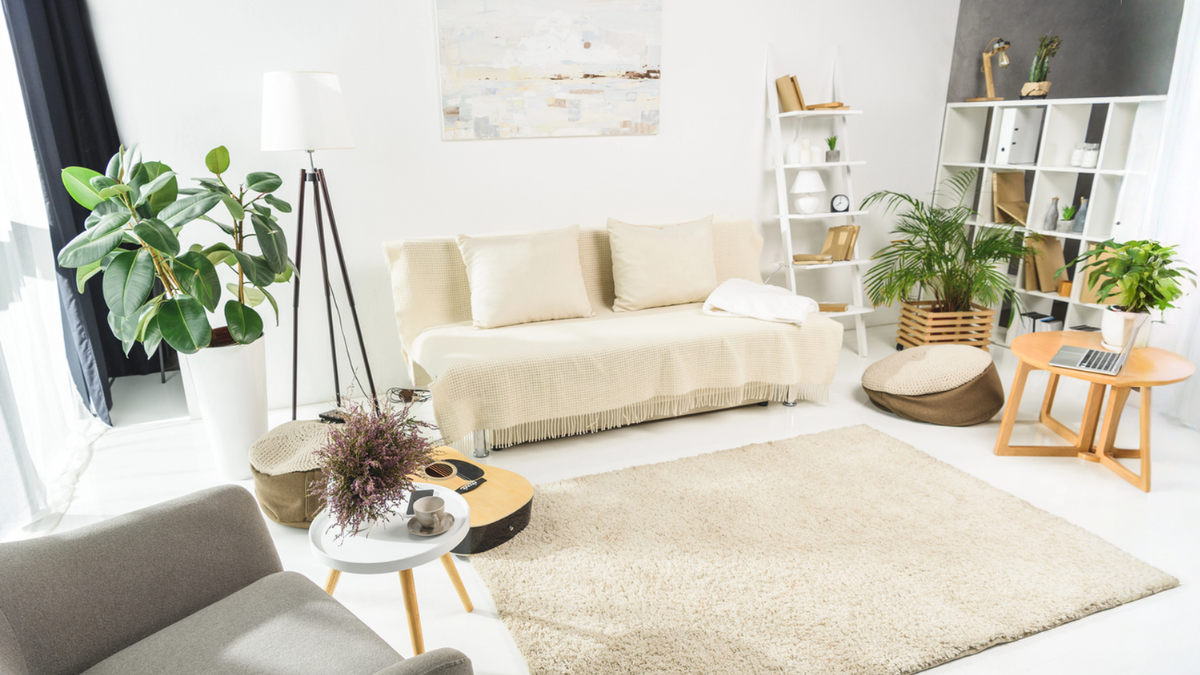 Cozy apartment living room with plants and natural decor creating outdoor-inspired space without backyard for renters.