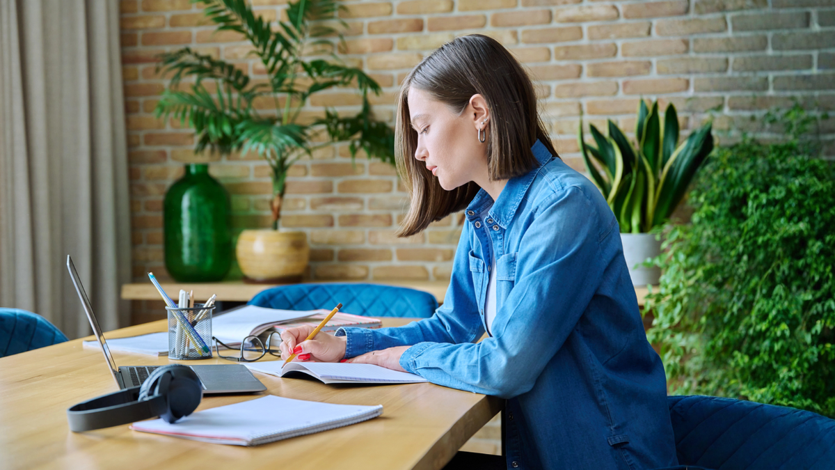 Property manager planning shared internet connection for multiple tenants to prevent network issues and outages.