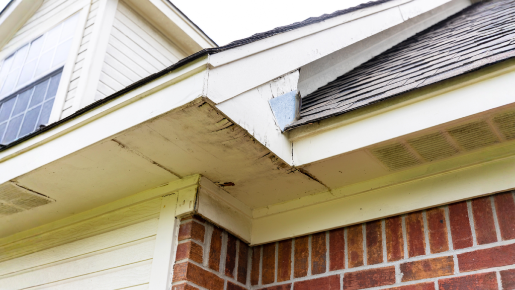 Rotten wood on underside of roof eave and fascia board of house.