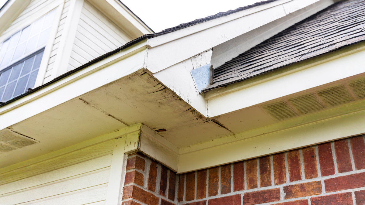 Rotten wood on underside of roof eave and fascia board of house.