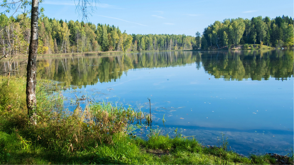 Haliburton cottage lakefront view compares private and public lake settings for buyers choosing waterfront property.